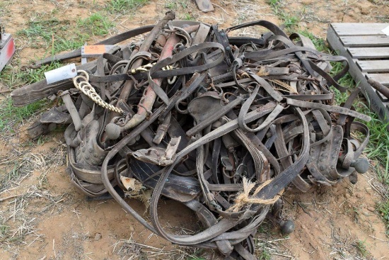 Pallet Containing Horse Accessories