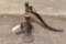Vintage Screw Jack, Vintage Handled Jack