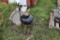 Shephards Hook, Weber Grill, Tomatoe Cage, Sprinkler