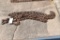 Log Chain with Hooks