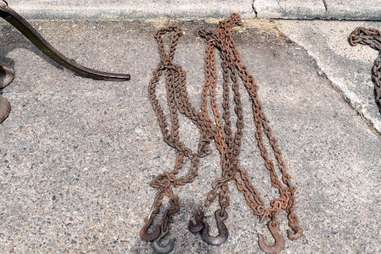 (3) Light duty Chains with Hooks