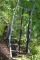 Folding Steel Deer Cart