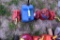 (5) Gas Cans