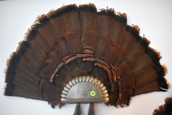 Turkey Fan Mount