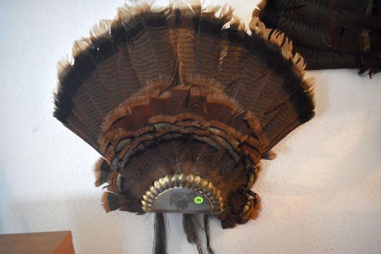 Turkey Fan Mount