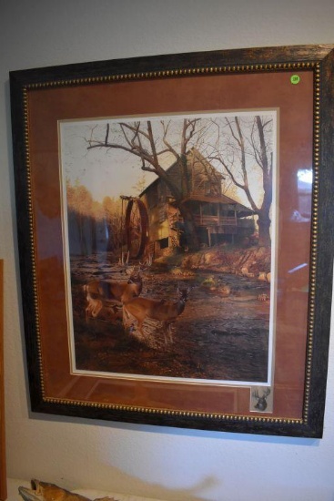 Framed Wildlife Print, Jay Kemp 06, 55/2600