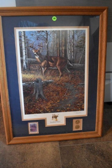 Framed Collector's Edition "Woodland Prince"