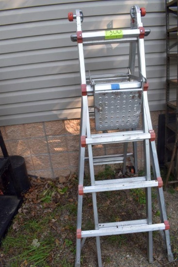 Little Giant Ladder System