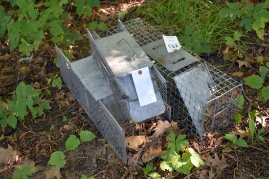 (3) Live Traps