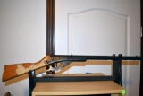 Daisy Lever Action BB Gun