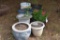 Large Assortment of Planters