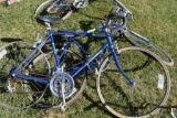 (2) Dynasty Free Spirit Bikes