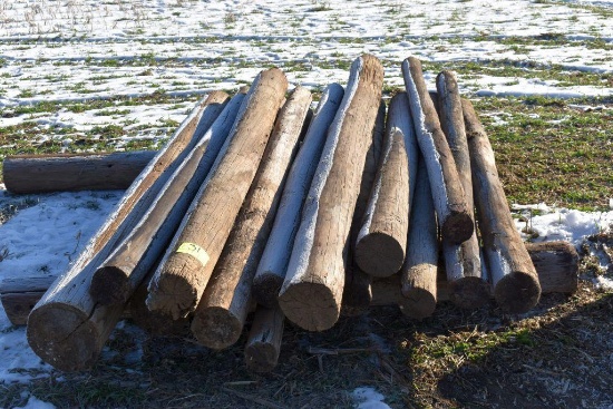 (16) Solid Wood Posts