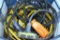 Assortment of Extension Cords