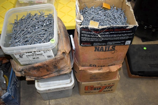 Large Assortment of Nails