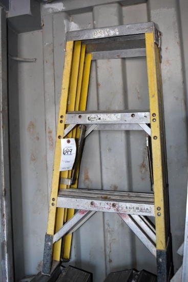Werner 3' Fiberglass Double Sided Step Ladder