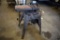 Sears Craftsman Model 113.225831 Belt/Disc Sander