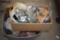 Large Assortment of Nuts, Bolts and Washers