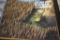 John Deere Combine Sales Brochures