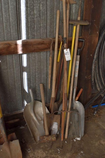 Assorted Handled Tools: Aluminum Shovels, Pitch Fork, Shovels and More