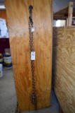 16' Log/Transport Chain with Hooks