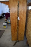 16' Log/Transport Chain with Hooks