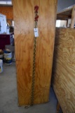 12' Log/Transport Chain with Hooks