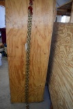 12' Log/Transport Chain with Hooks