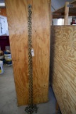 20' Log/Transport Chain with Hooks