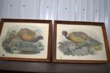 (2) Pheasant Prints: 