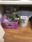 Dog food box, misc. dog care items