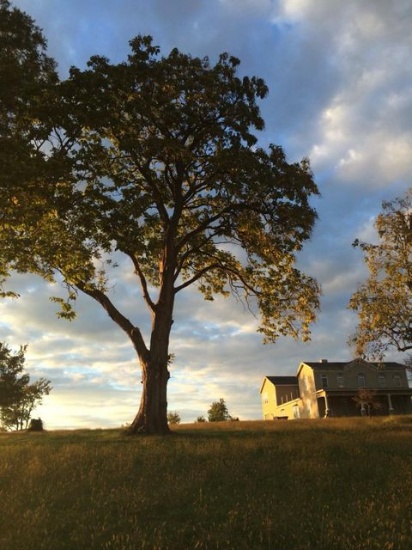 122 ACRE EQUESTRIAN FARM IN PARIS KY