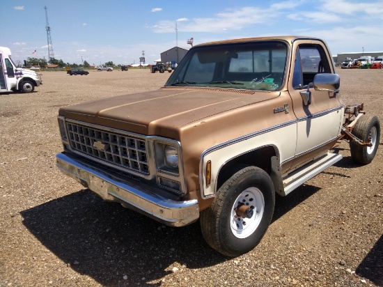 1980 Chevrolet Stottsdale Cab & Chassis