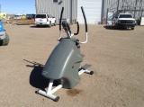 Trimline Stair Stepper