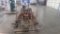 Riding Concrete Trowel