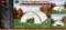 30Ft x 60Ft x 15Ft Peak Ceiling Shelter