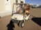 E-Z-Go 2 Seat Golf Cart