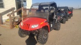 2014 Arctic Cat 4DX UTV