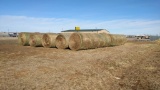 (8) Round Bales of Grass/Hay Strip of (8) Round Bales