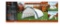20Ft x 30Ft x 12Ft Peak Ceiling Storage Shelter C/W: Commercial fabric, rol