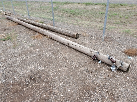 (2) Telephone Poles