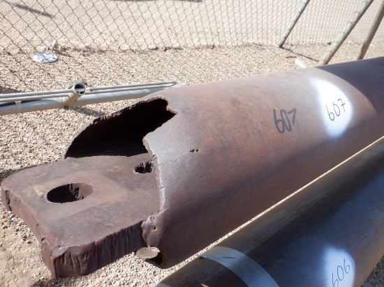11" Bailer