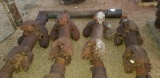Hole Openers