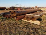 Assorted Casing