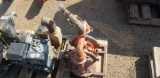 M4 Wildon Pump