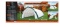 Shelter Peak PE 2030P New