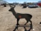 3/8 Steel Deer Shooting Target w/ Heart Flapper