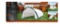 Shelter Peak PE 2030P TMG-ST2030P