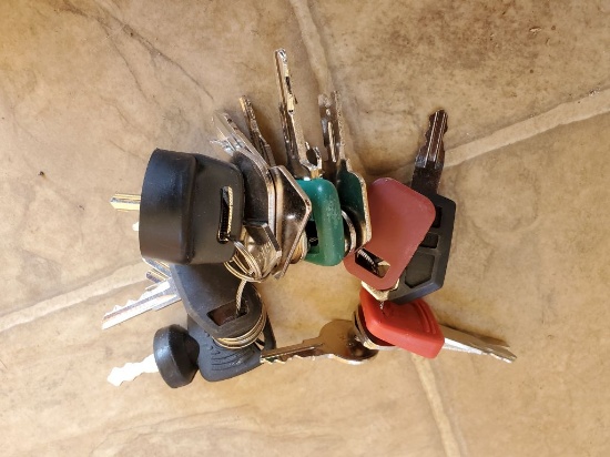 (24) Universal Heavy Equipment Keys