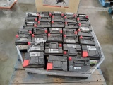 (32) Eco Smart Batteries on Pallet
